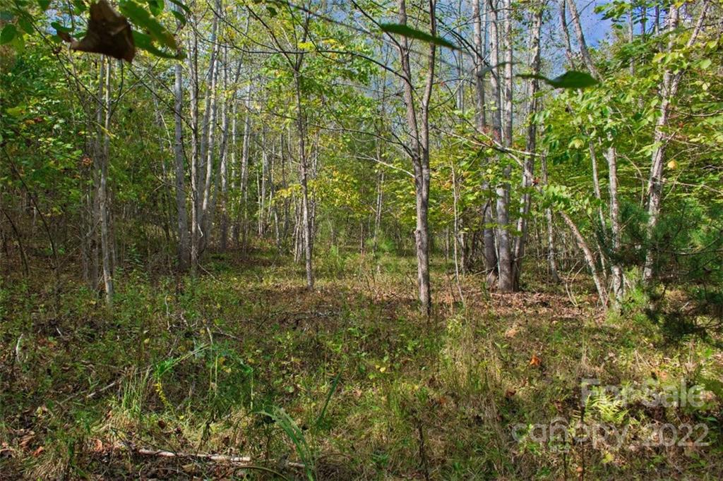 0 Chimney Creek Lane Rutherfordton NC 28139