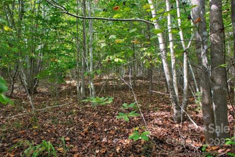 0 Chimney Creek Lane Rutherfordton NC 28139