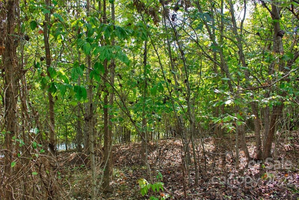 0 Chimney Creek Lane Rutherfordton NC 28139
