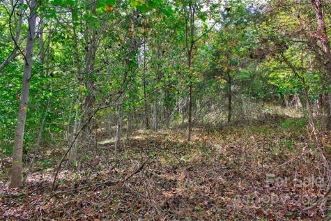 0 Chimney Creek Lane Rutherfordton NC 28139