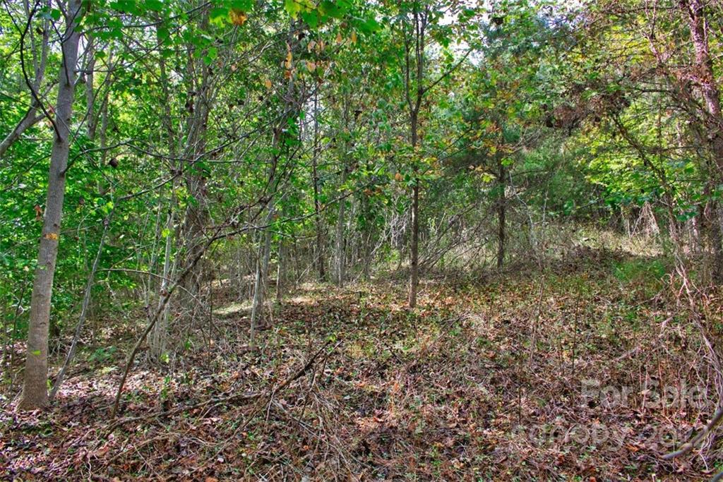 0 Chimney Creek Lane Rutherfordton NC 28139