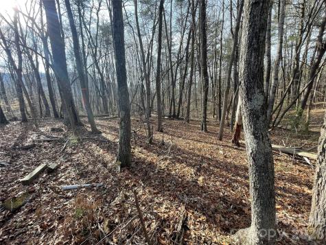218 Max Metcalf Road Swannanoa NC 28778