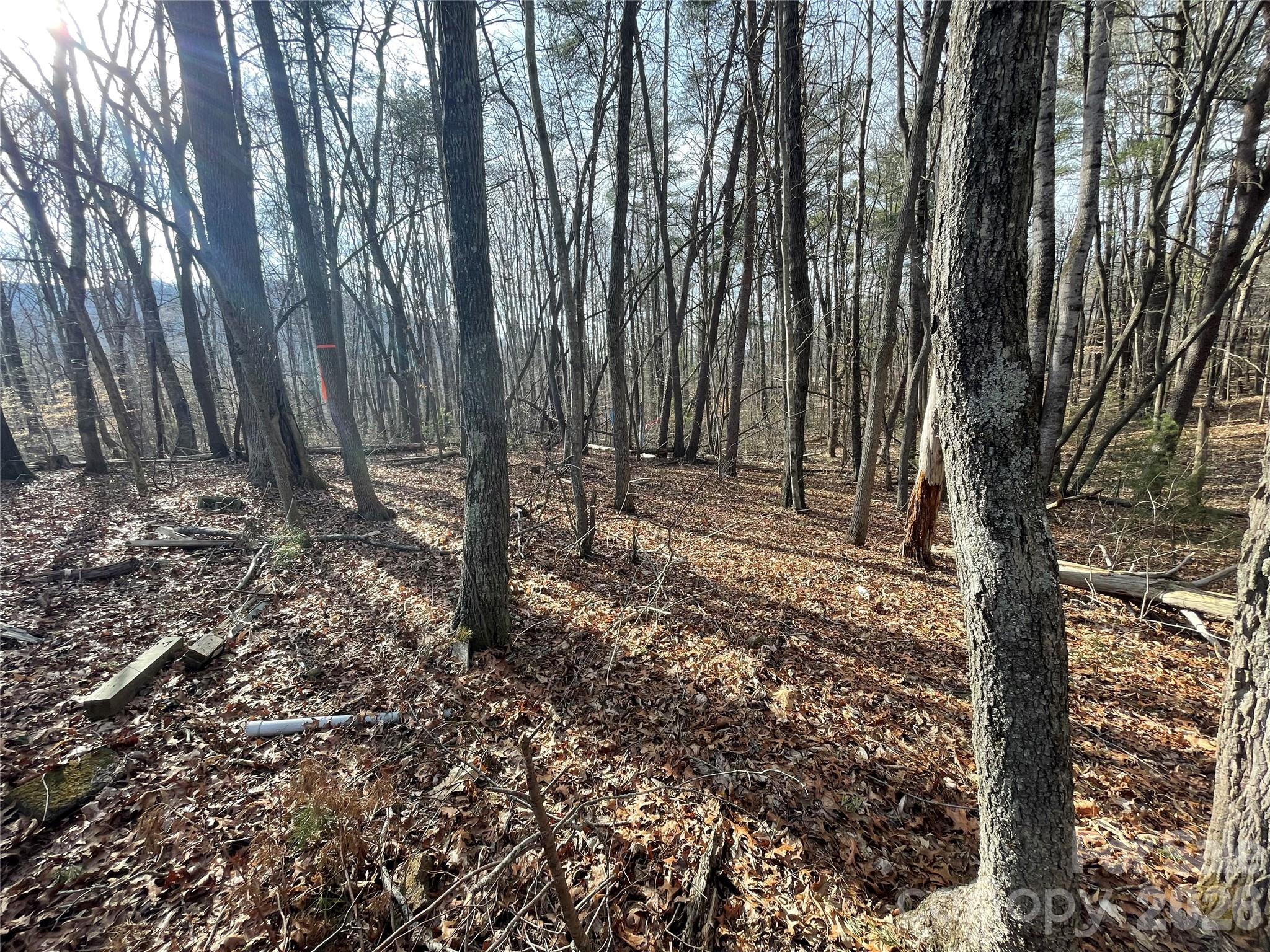 218 Max Metcalf Road Swannanoa NC 28778