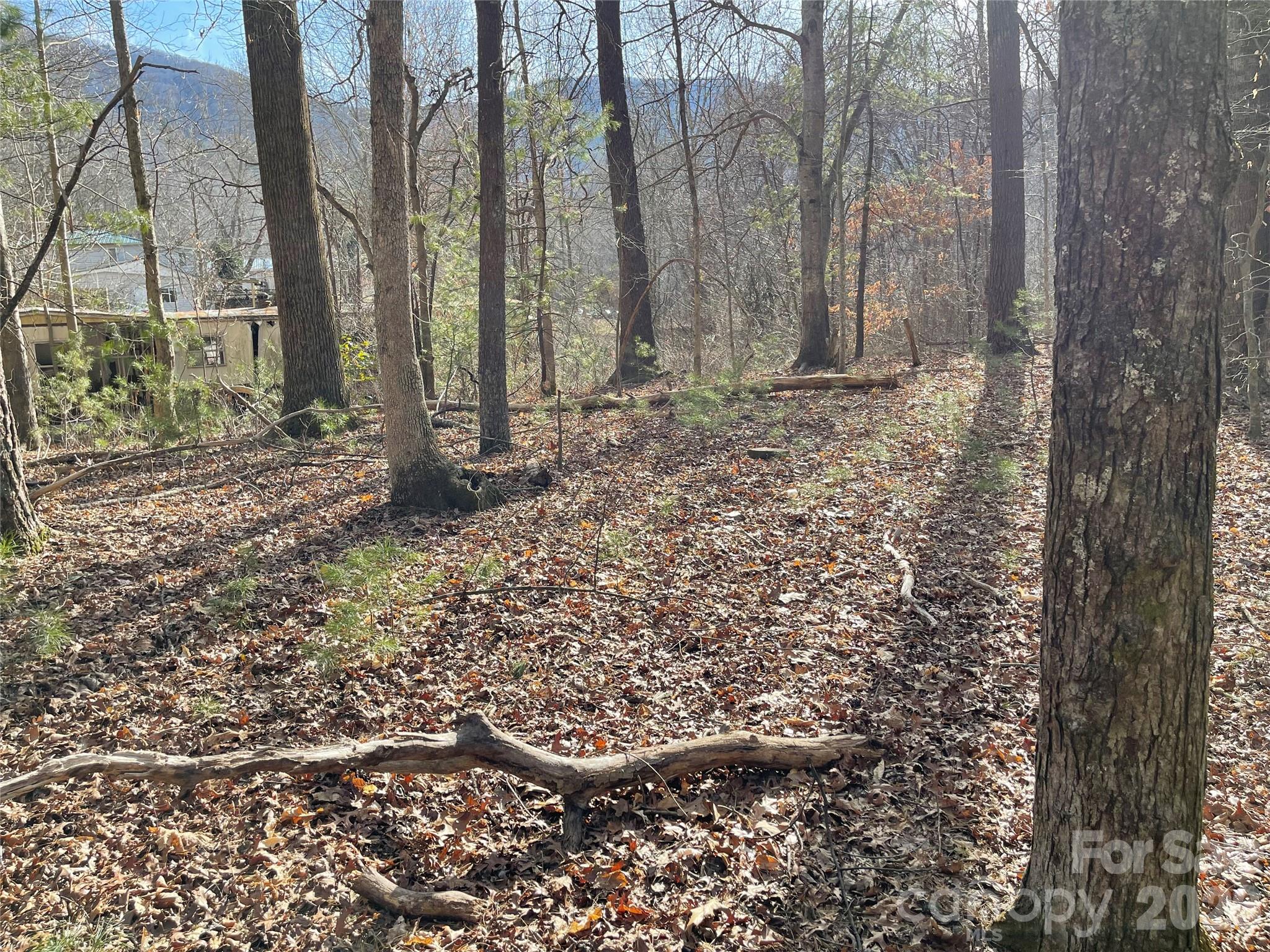 218 Max Metcalf Road Swannanoa NC 28778