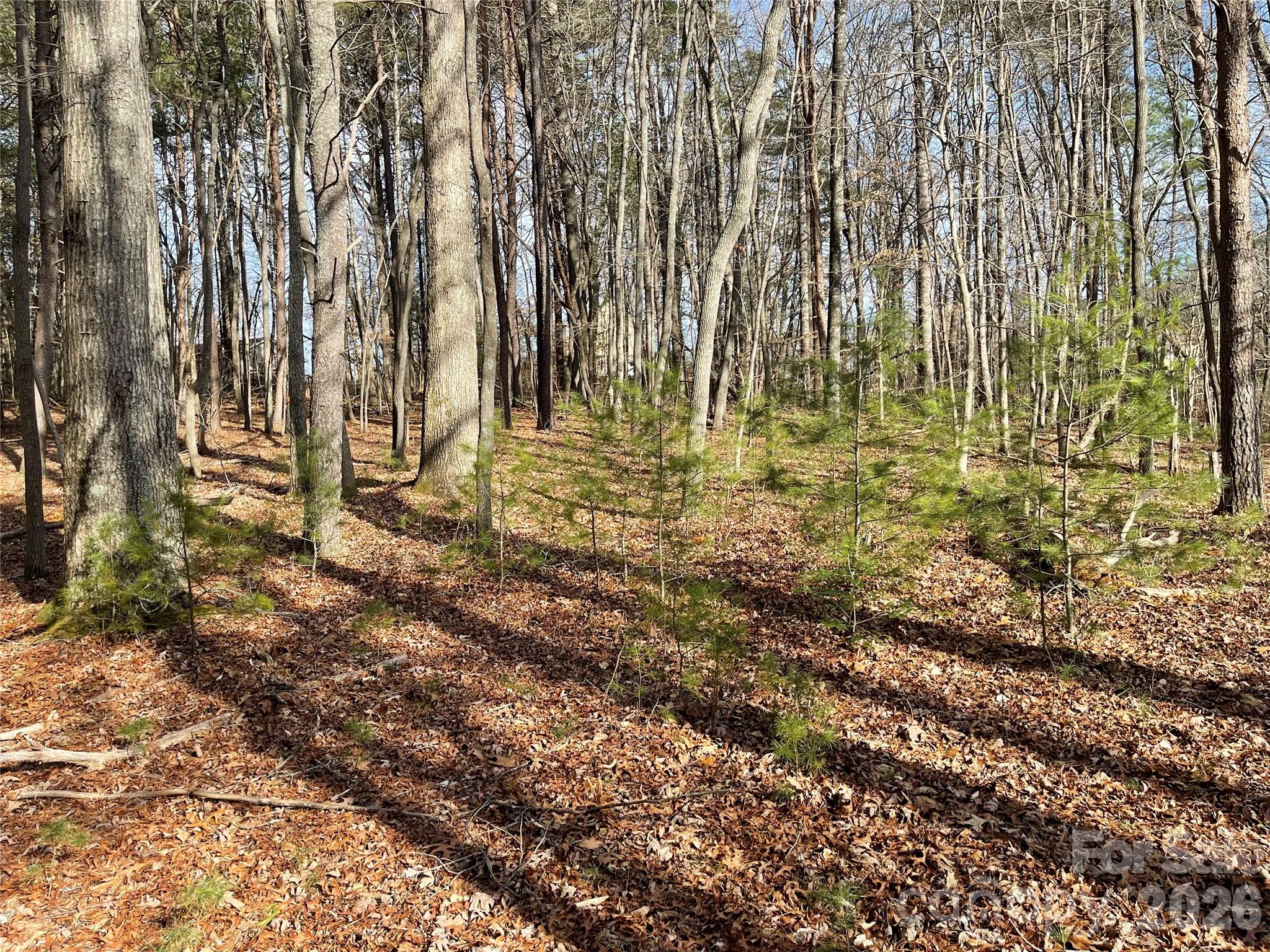 218 Max Metcalf Road Swannanoa NC 28778