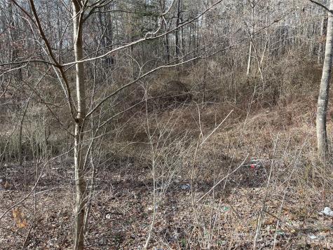 218 Max Metcalf Road Swannanoa NC 28778