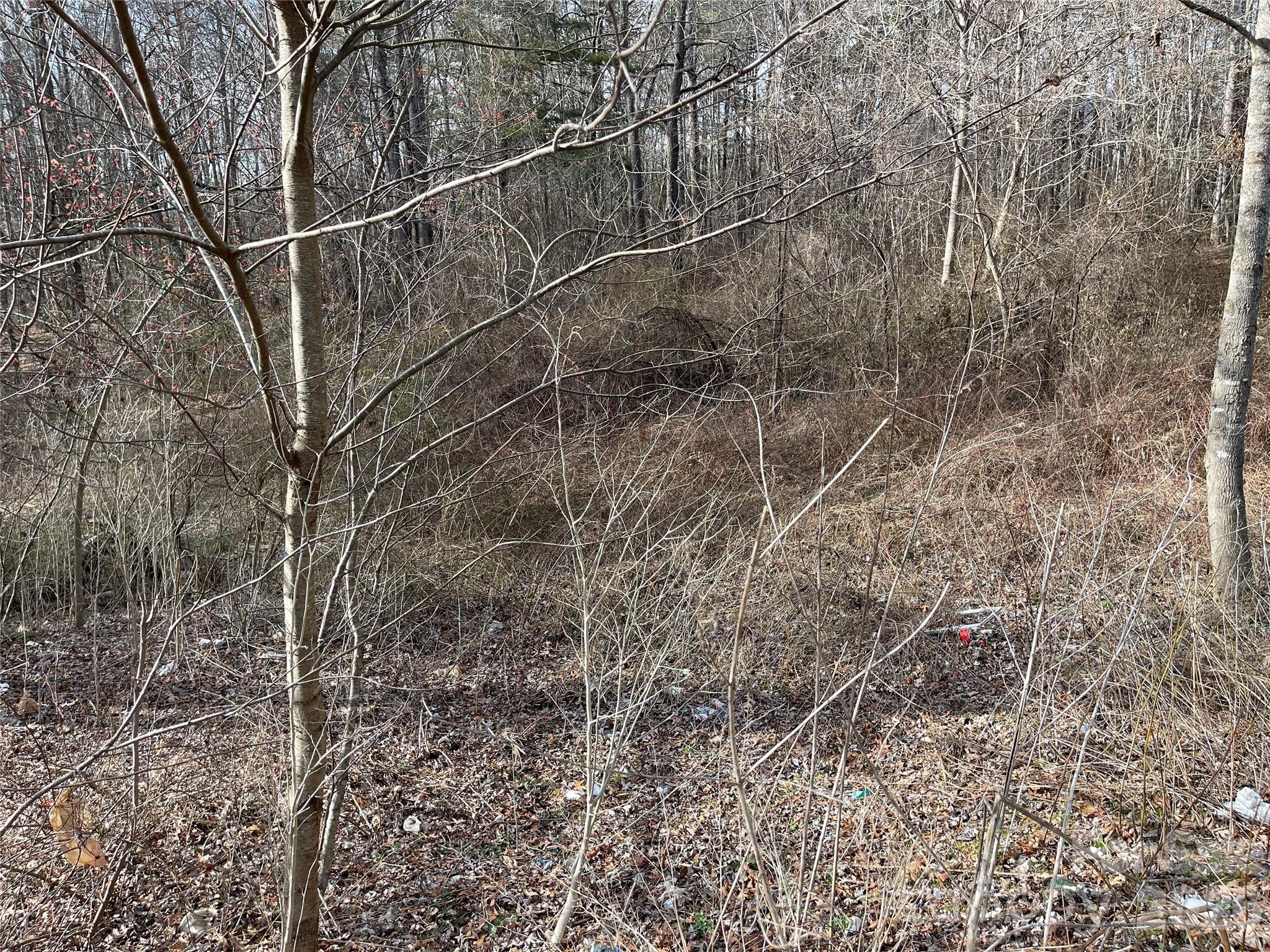 218 Max Metcalf Road Swannanoa NC 28778