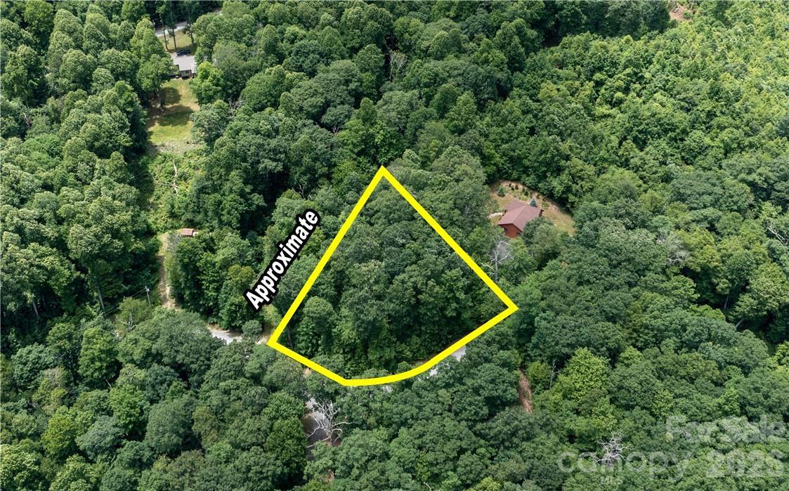 L-36 Saint Moritz Lane Spruce Pine NC 28749