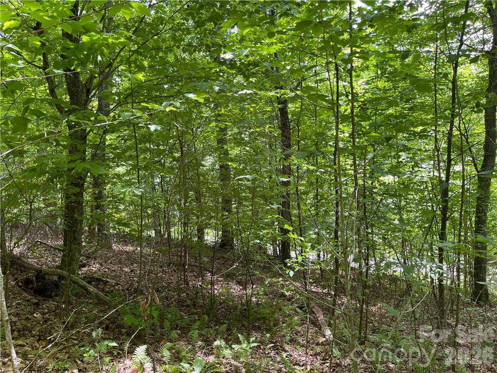 L-36 Saint Moritz Lane Spruce Pine NC 28749
