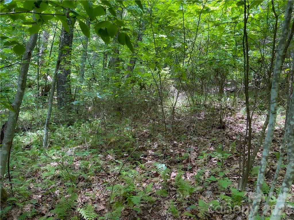 L-36 Saint Moritz Lane Spruce Pine NC 28749