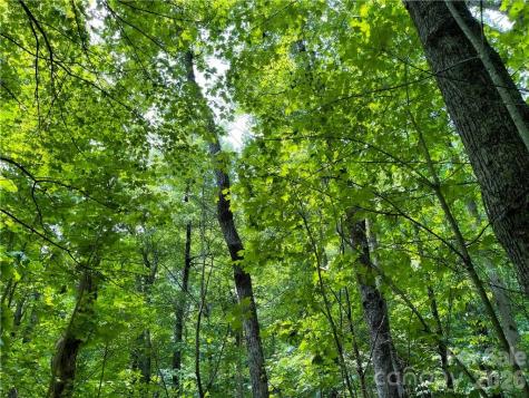 L-36 Saint Moritz Lane Spruce Pine NC 28749