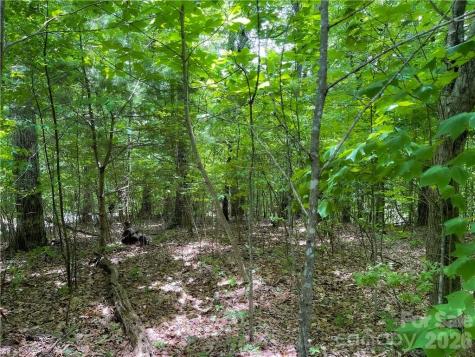 L-36 Saint Moritz Lane Spruce Pine NC 28749