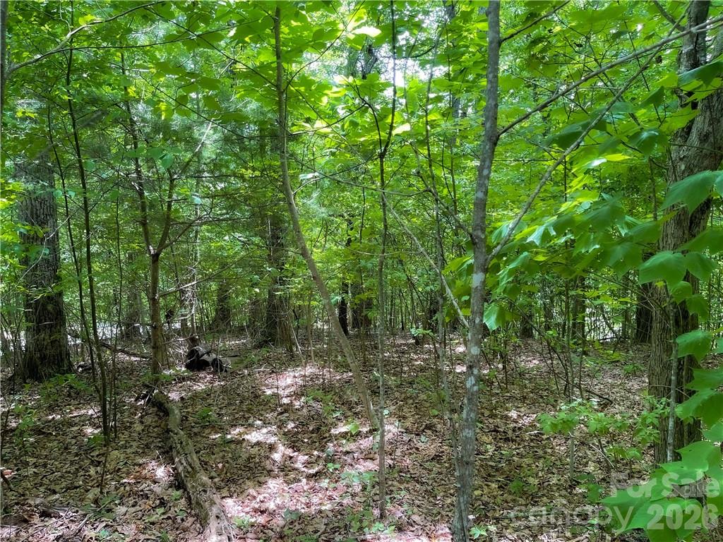 L-36 Saint Moritz Lane Spruce Pine NC 28749