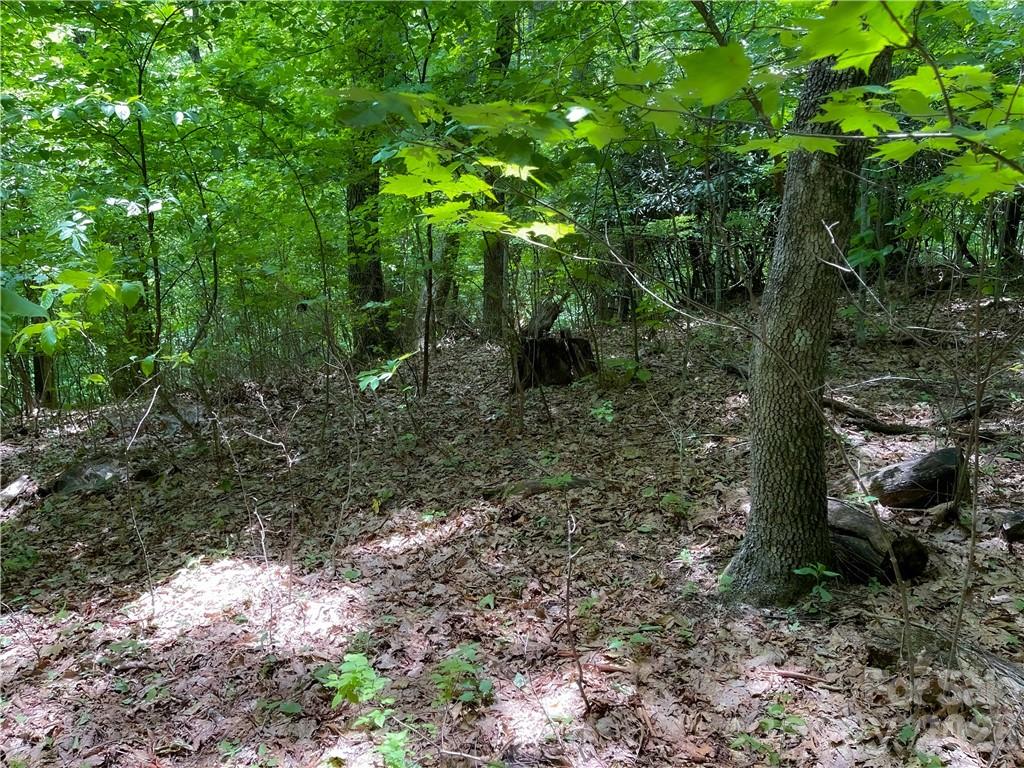 L-36 Saint Moritz Lane Spruce Pine NC 28749