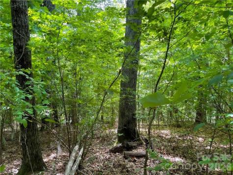 L-36 Saint Moritz Lane Spruce Pine NC 28749