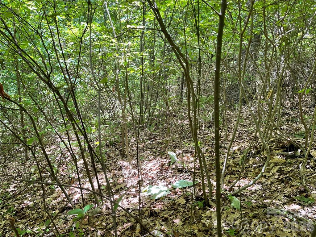 L-36 Saint Moritz Lane Spruce Pine NC 28749