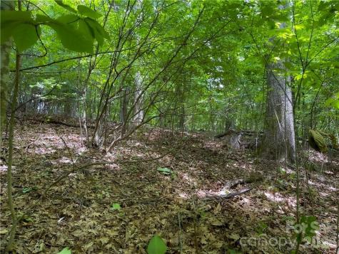 L-36 Saint Moritz Lane Spruce Pine NC 28749