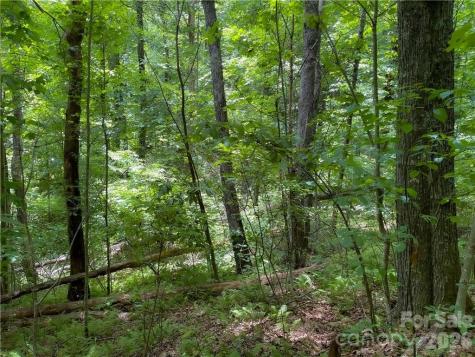 L-36 Saint Moritz Lane Spruce Pine NC 28749