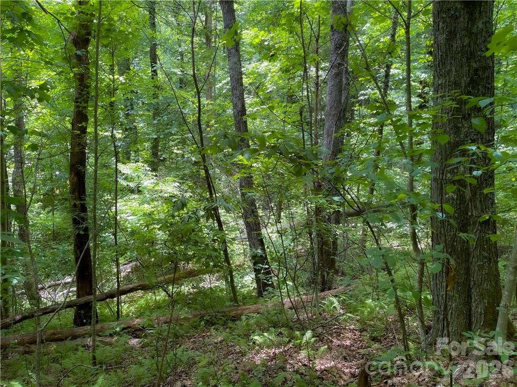 L-36 Saint Moritz Lane Spruce Pine NC 28749