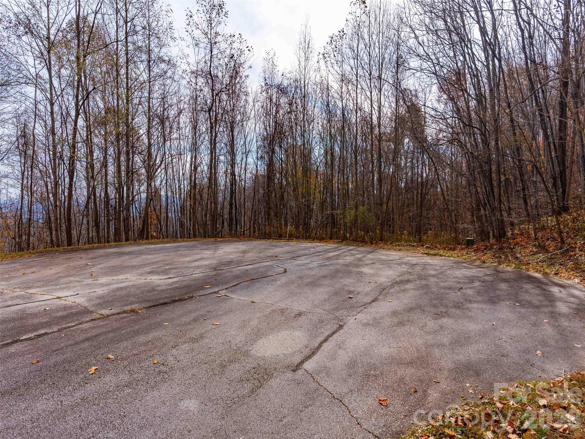 242 Nottingham Drive Mill Spring NC 28756