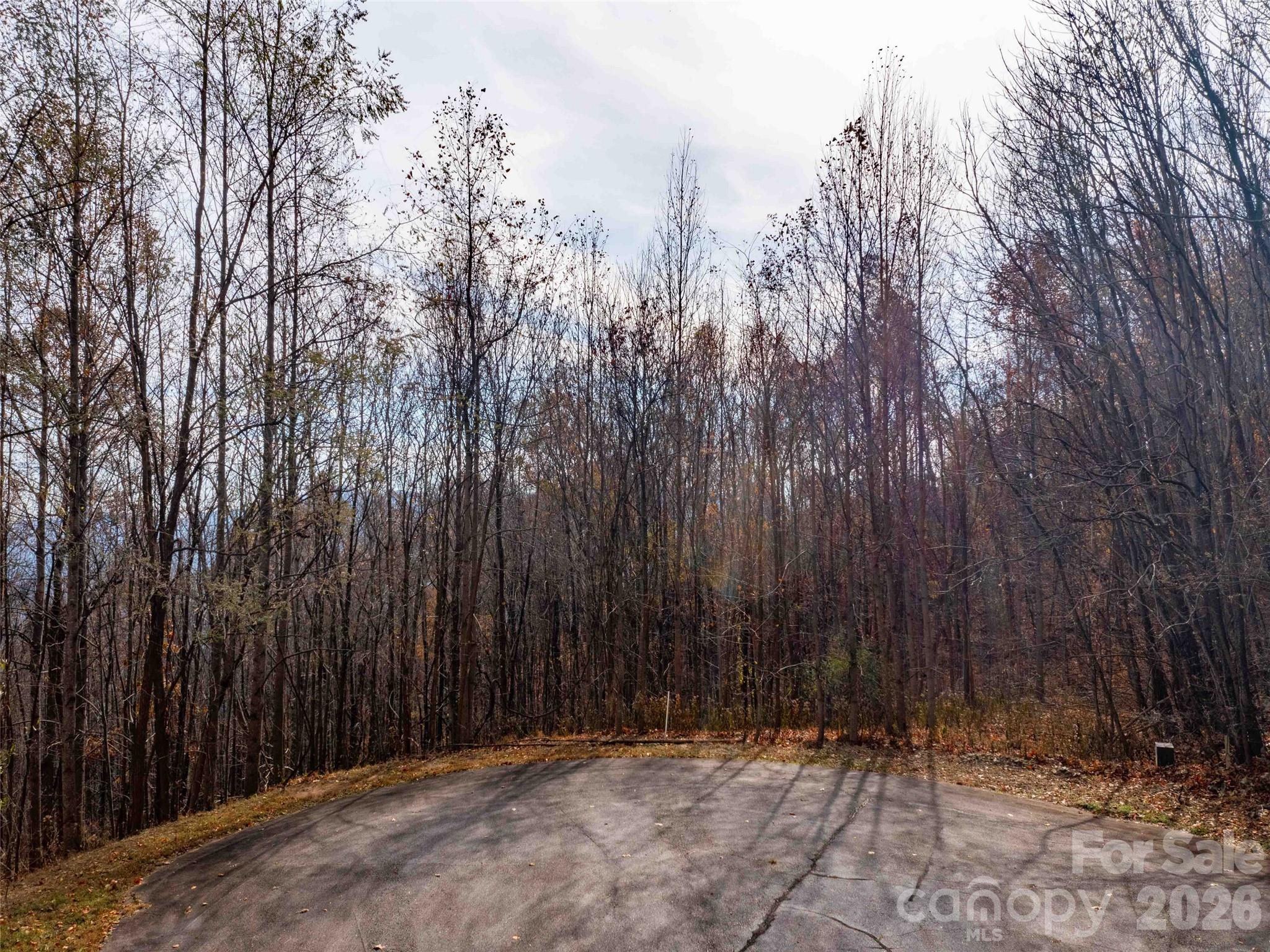 242 Nottingham Drive Mill Spring NC 28756