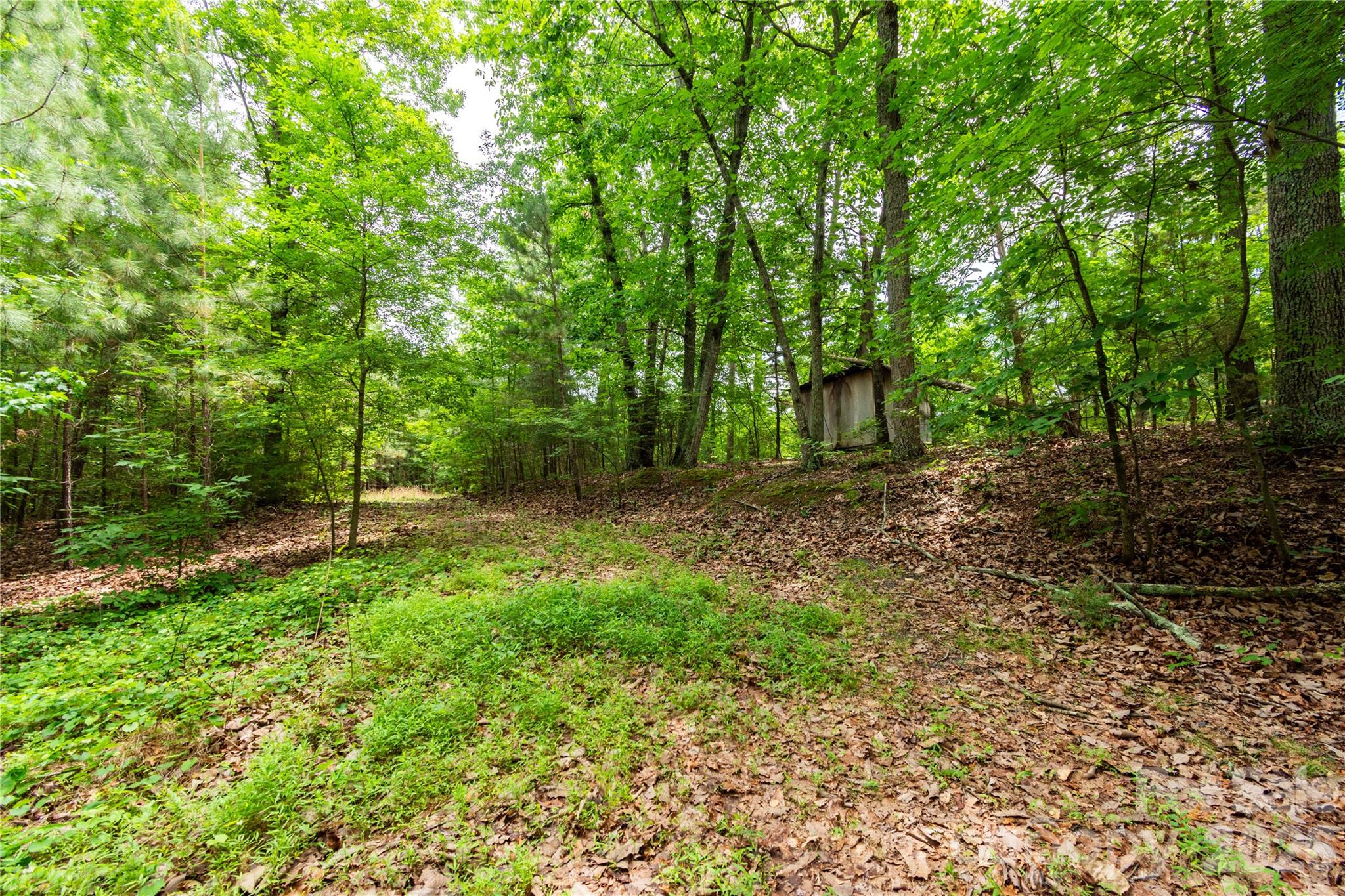 10522 Kimberly Lane Norwood NC 28128
