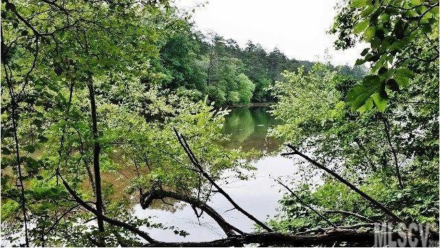 5804 Kaylee Ann Drive Granite Falls NC 28630