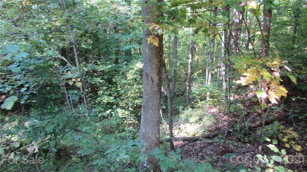 E- 19 Red Wolf Run Mars Hill NC 28754