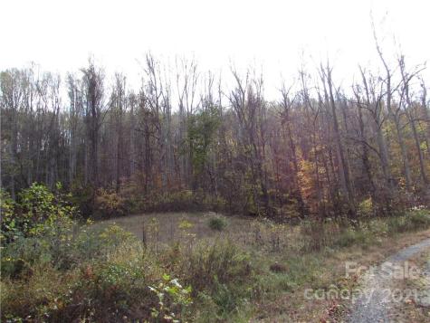 E- 19 Red Wolf Run Mars Hill NC 28754