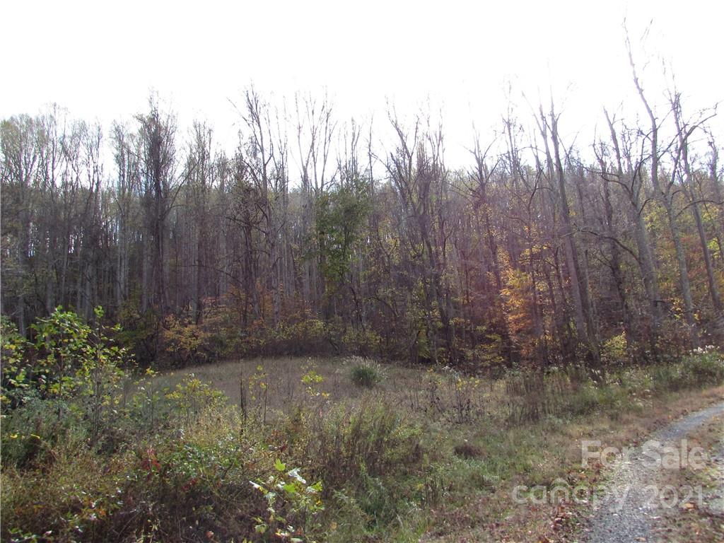 E- 19 Red Wolf Run Mars Hill NC 28754