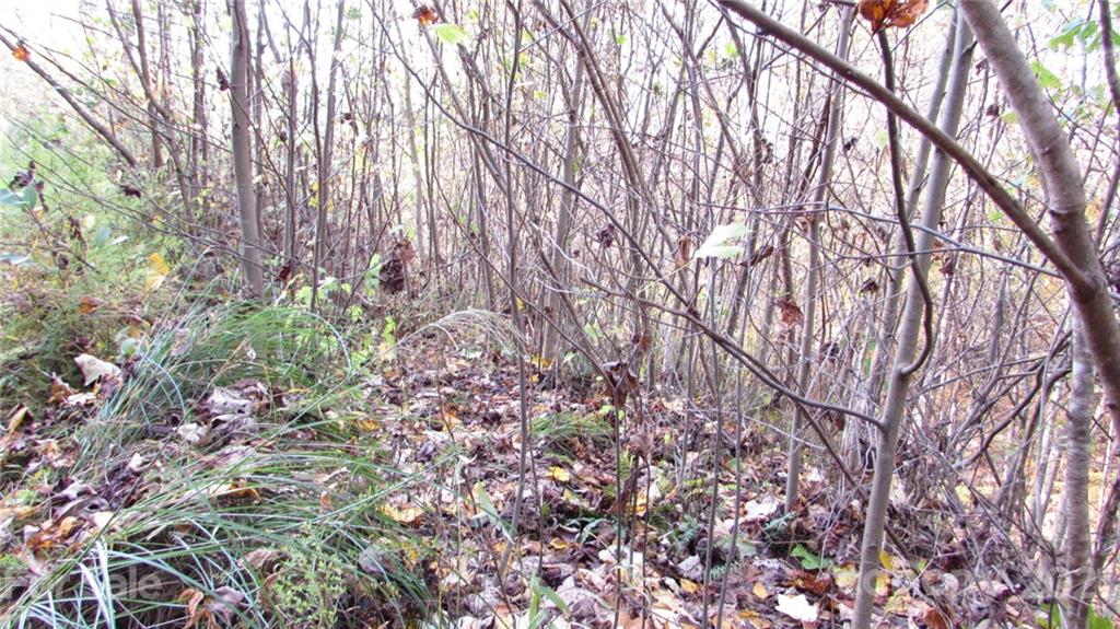 E- 19 Red Wolf Run Mars Hill NC 28754