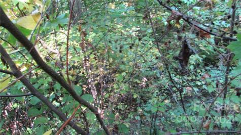 E- 19 Red Wolf Run Mars Hill NC 28754