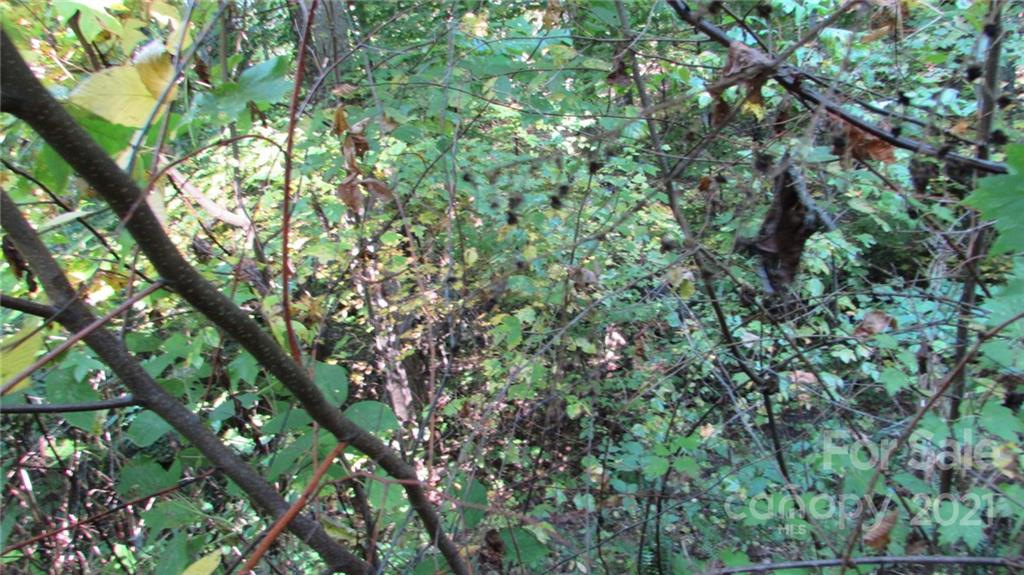 E- 19 Red Wolf Run Mars Hill NC 28754