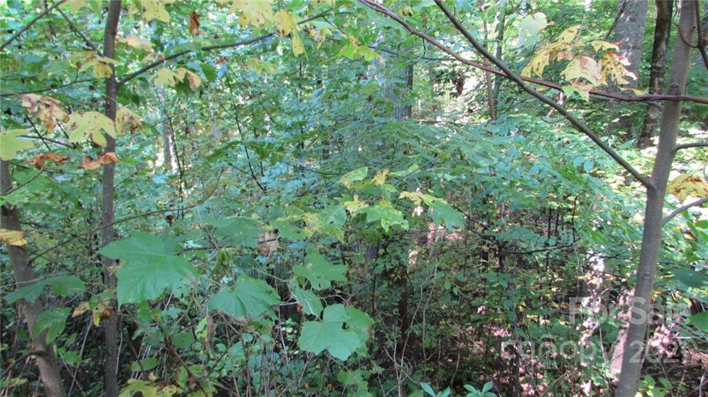 E- 19 Red Wolf Run Mars Hill NC 28754