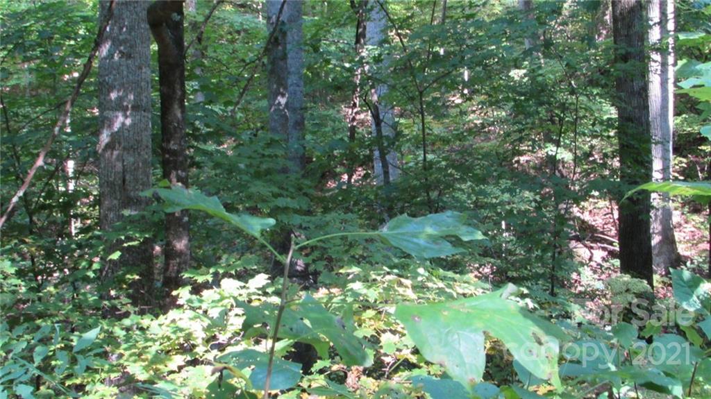 E- 19 Red Wolf Run Mars Hill NC 28754