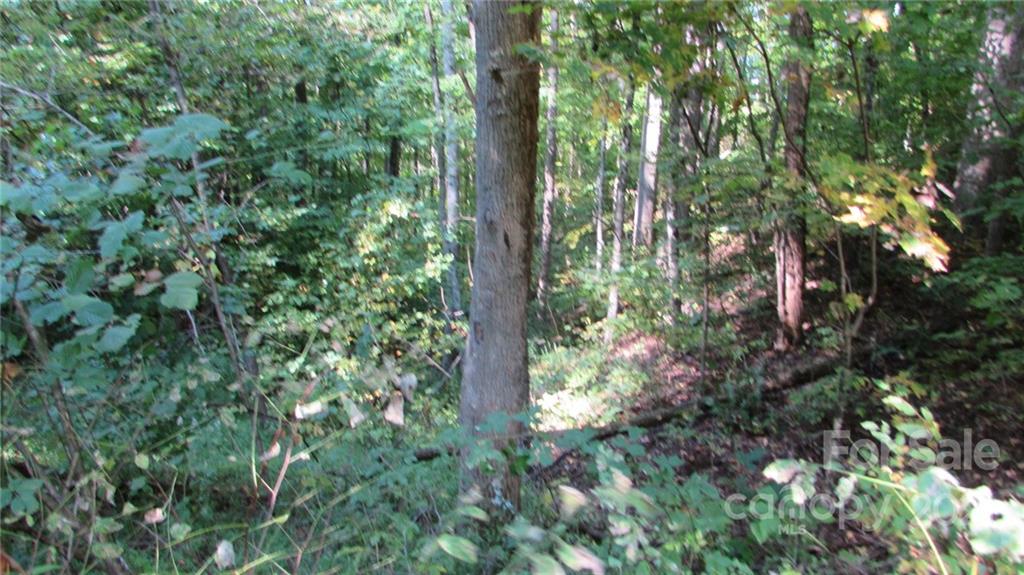 E- 19 Red Wolf Run Mars Hill NC 28754