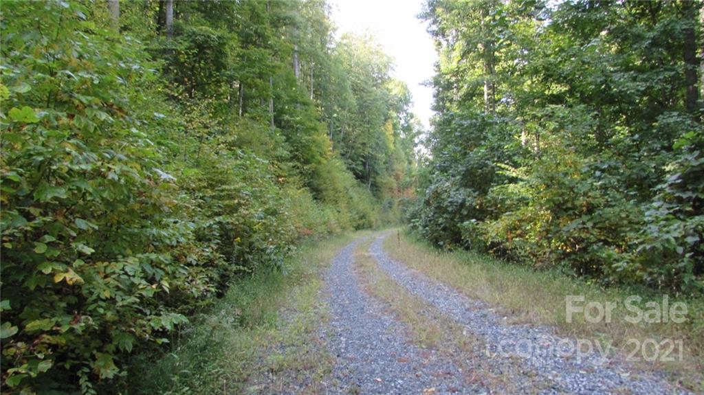 E- 19 Red Wolf Run Mars Hill NC 28754