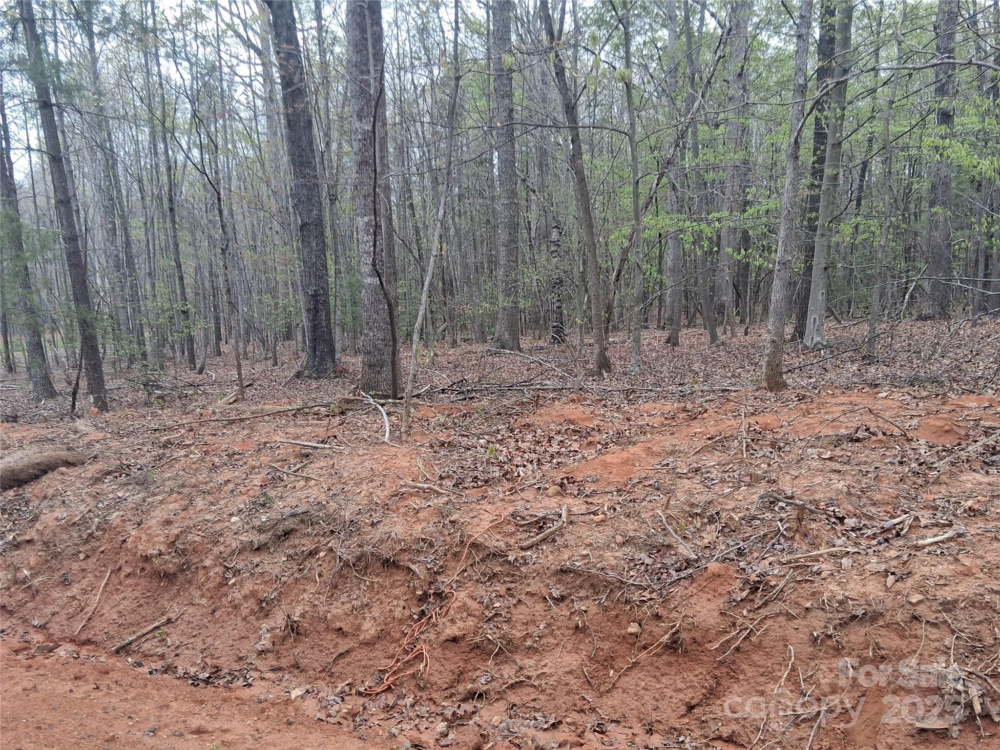 2270 Magnolia Place Morganton NC 28655