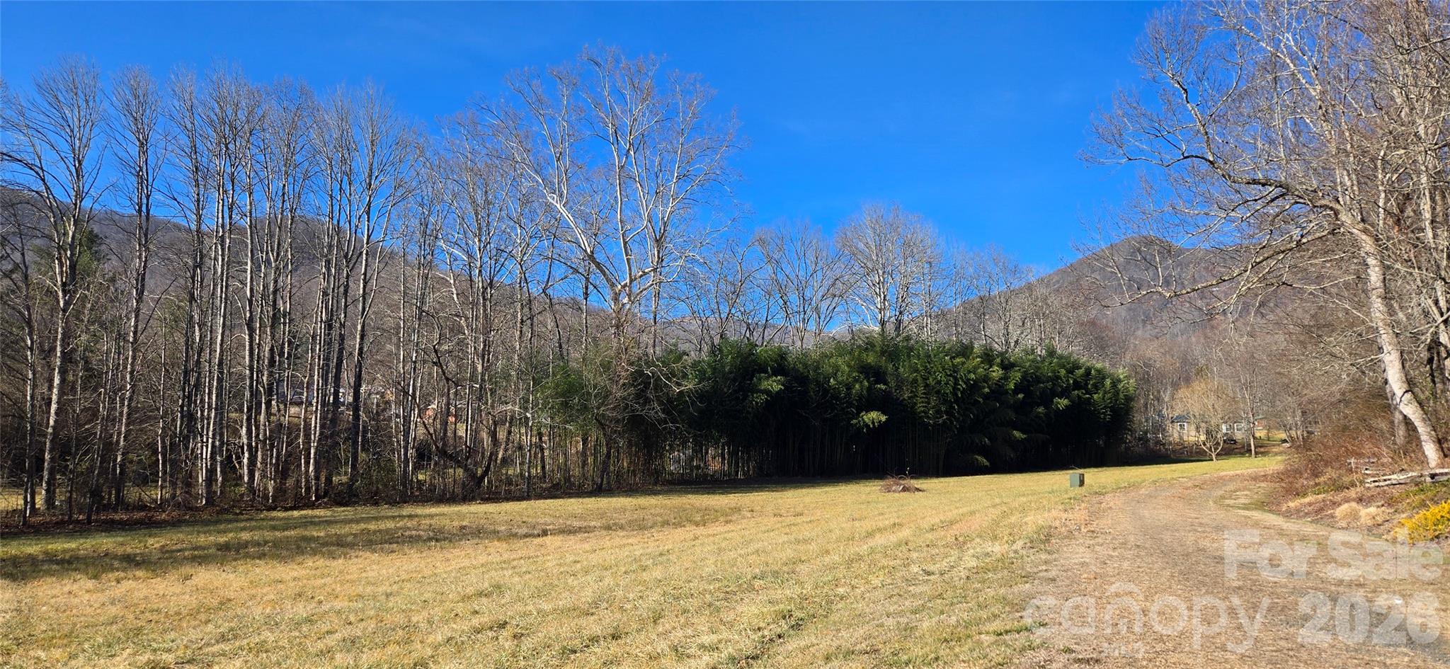 Lot 3 Turtle Rock Lane Waynesville NC 28785