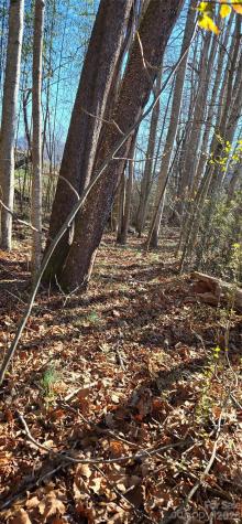 Lot 3 Turtle Rock Lane Waynesville NC 28785
