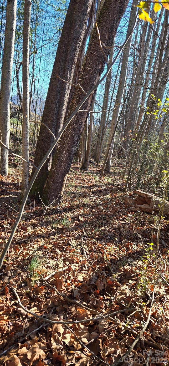 Lot 3 Turtle Rock Lane Waynesville NC 28785