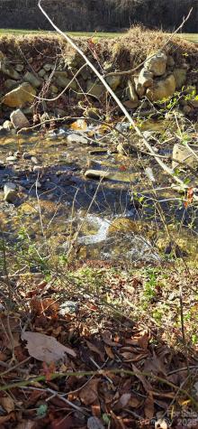 Lot 3 Turtle Rock Lane Waynesville NC 28785