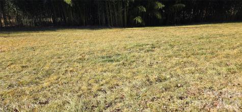 Lot 3 Turtle Rock Lane Waynesville NC 28785