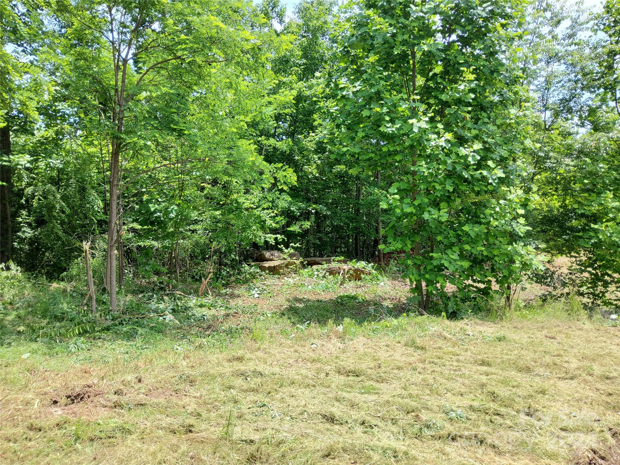 0 Bear Cliff Way Lake Lure NC 28746