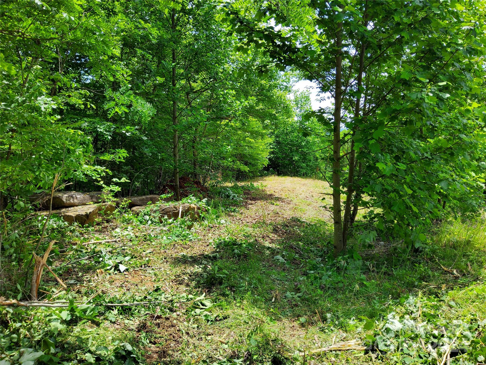 0 Bear Cliff Way Lake Lure NC 28746