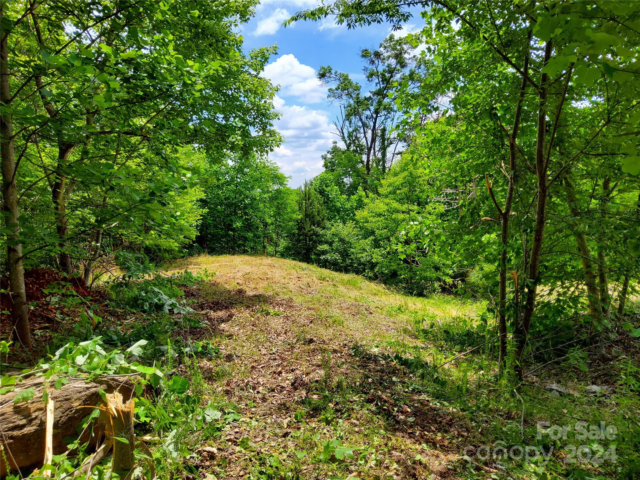 0 Bear Cliff Way Lake Lure NC 28746