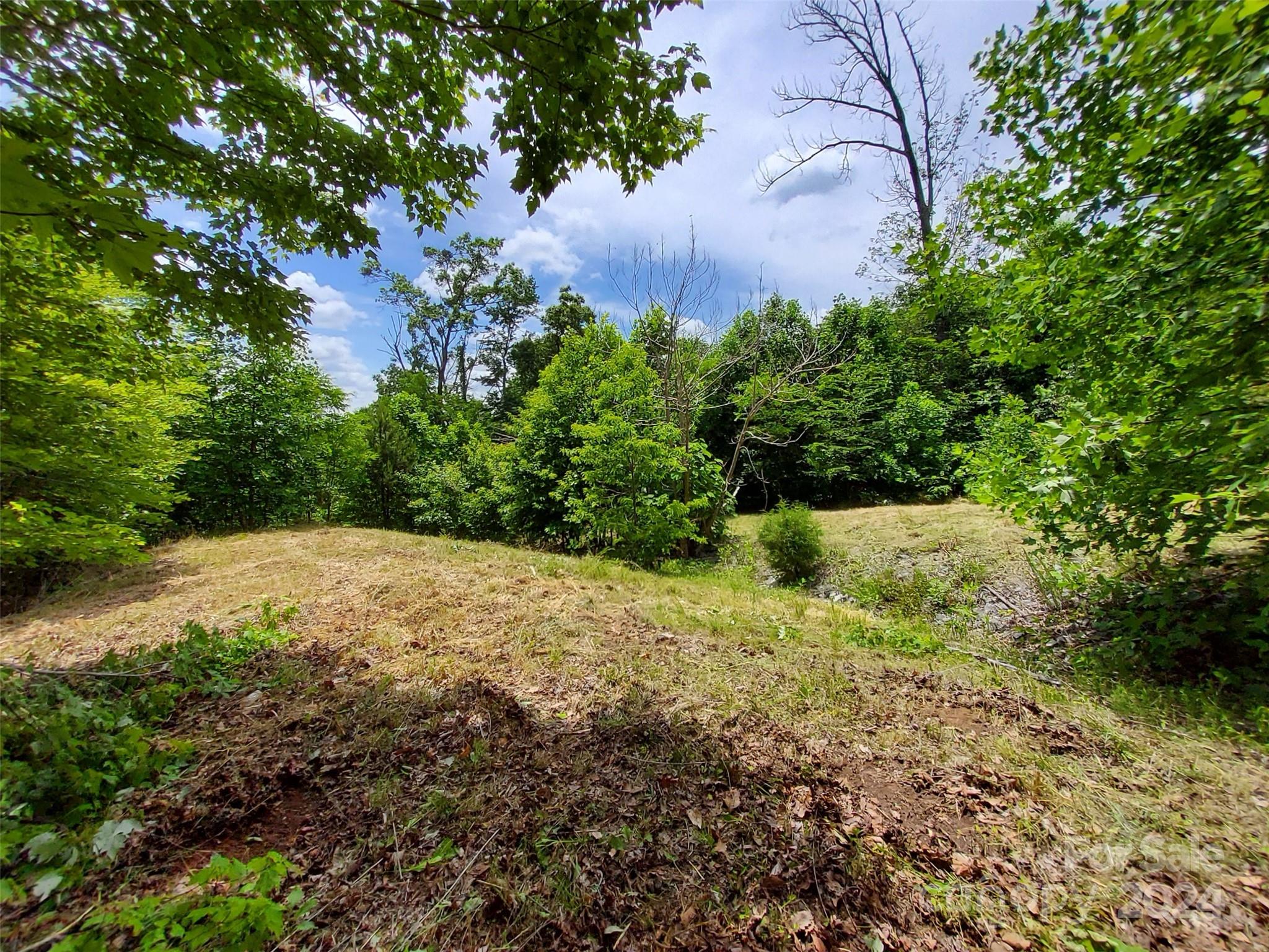 0 Bear Cliff Way Lake Lure NC 28746