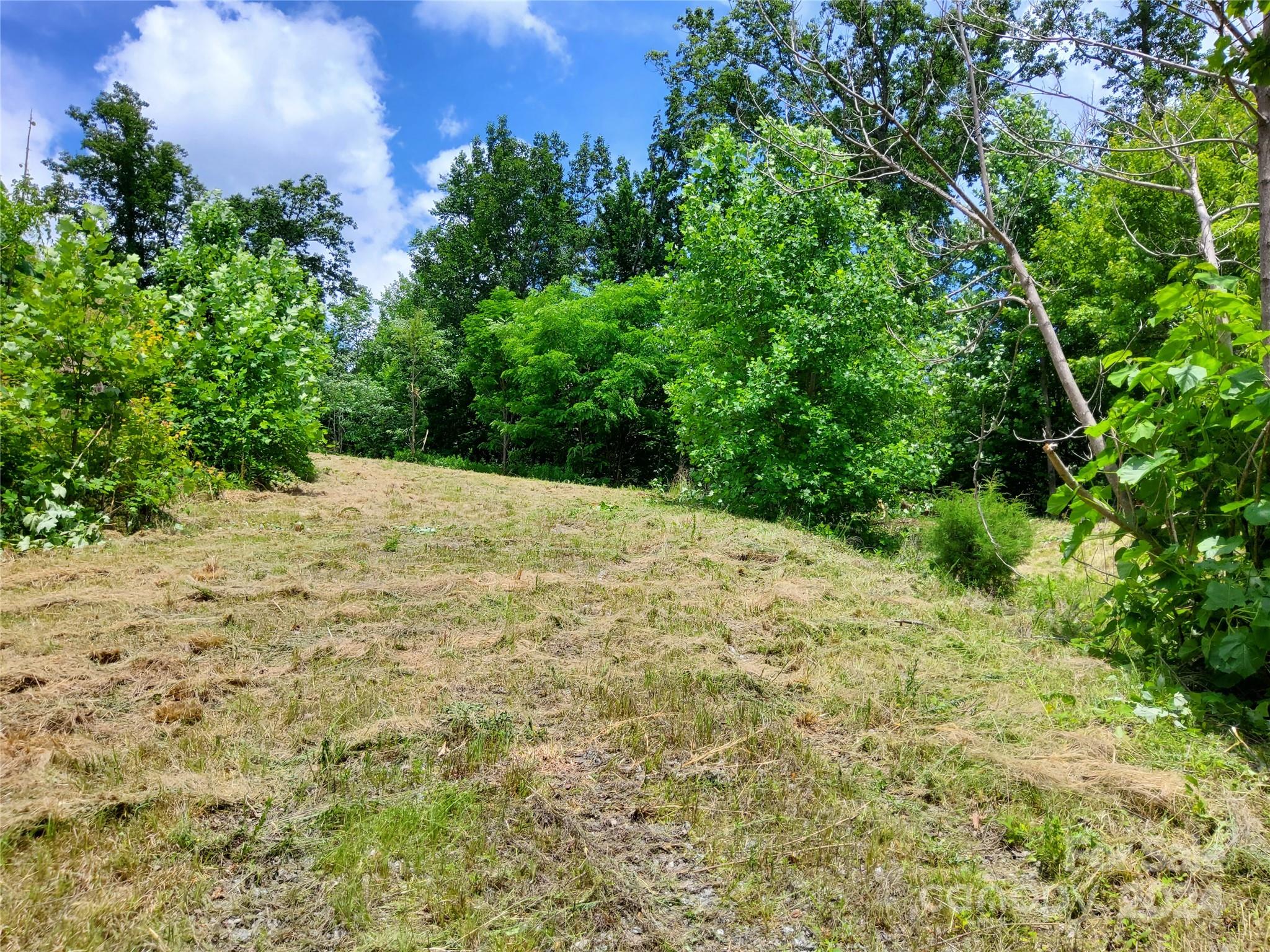 0 Bear Cliff Way Lake Lure NC 28746