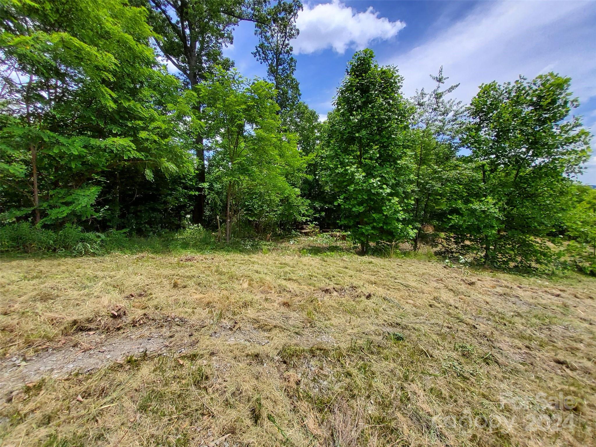 0 Bear Cliff Way Lake Lure NC 28746