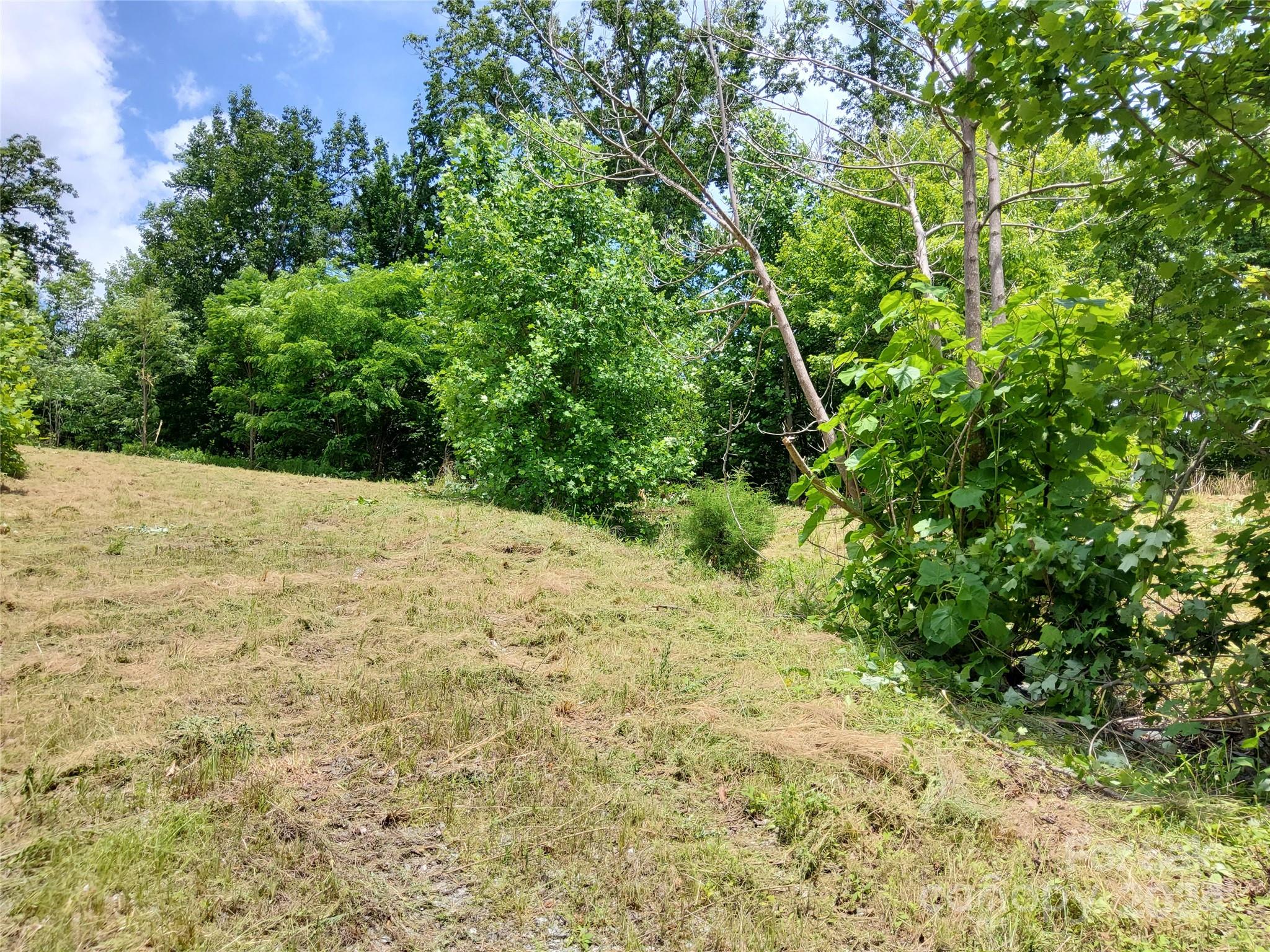 0 Bear Cliff Way Lake Lure NC 28746